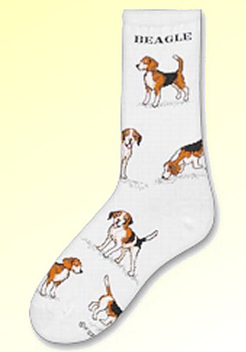 Beagle Socks from Critter Socks