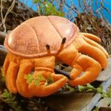 Stuffed Plush Crab from Stuffed Ark