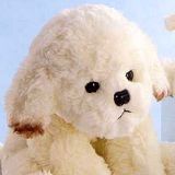 Stuffed Plush Bichon Frise from Stuffed Ark