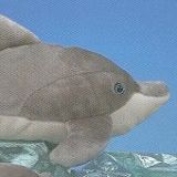Stuffed Plush Dolphin from Stuffed Ark