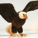 Stuffed Plush Eagle from Stuffed Ark
