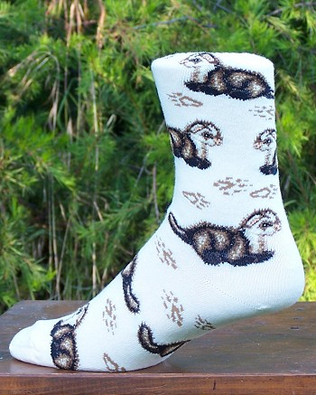 Ferret Socks from Critter Socks