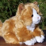 Stuffed Plush Orange Tabby Cat from Stuffed Ark