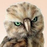 Stuffed Plush Owl