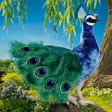 Stuffed Plush Peacock