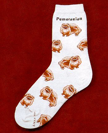 Pomeranian Socks from Critter Socks