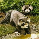 Stuffed Plush Raccoons from Stuffed Ark