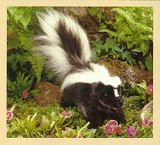 Stuffed Plush Skunks from Stuffed Ark